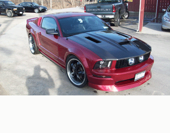 Mustang