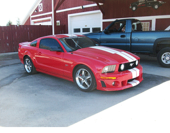 Mustang